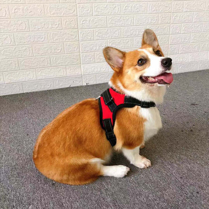Small Dog Vest with Rope Chest and Back Design