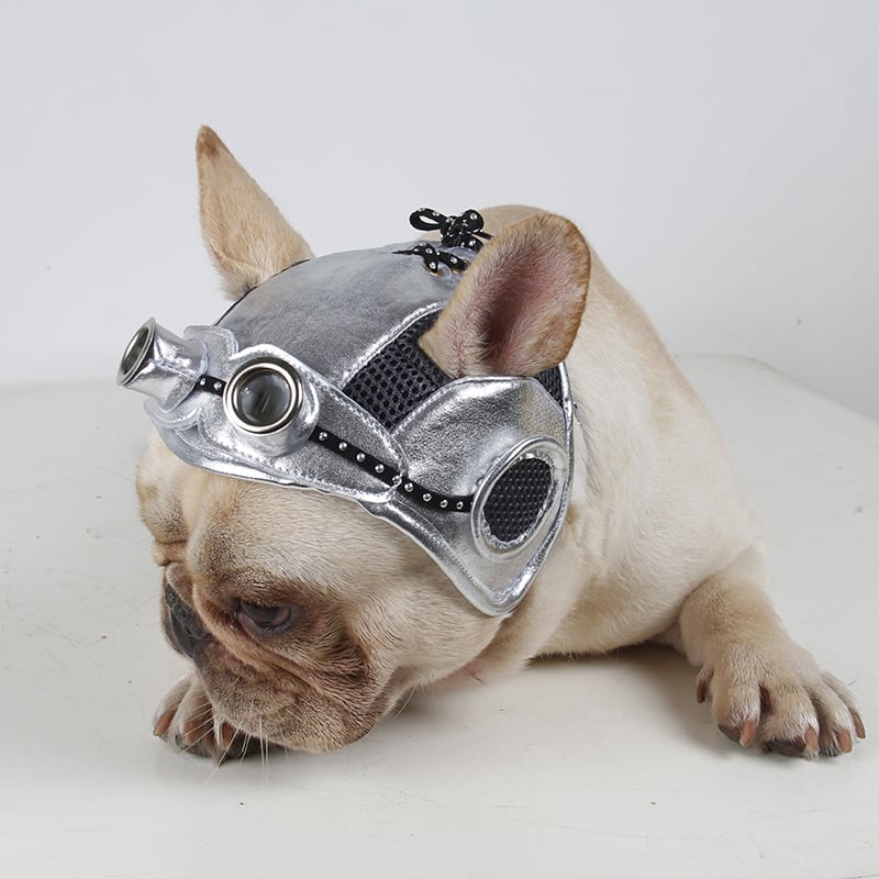 Steampunk Dog Pilot Cap