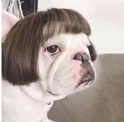 Toshomono Wig Cosplay Costume