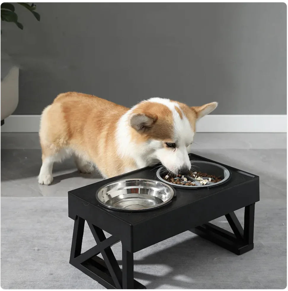 Slow Feed Elevated Pet Bowl
