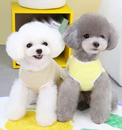 Sanded Student Skirt for Pets