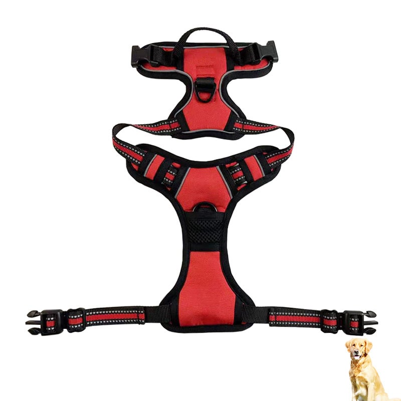 Reflekterande hundsele i nylon för bröst och rygg