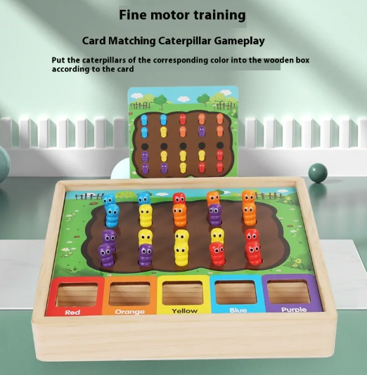 Bug Sorting Game