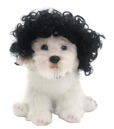 Toshomono Wig Cosplay Costume