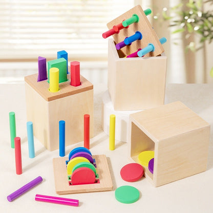 Wooden Montessori Color Matching Educational Toy