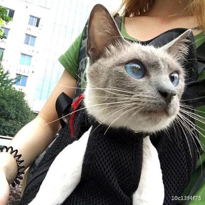 Ryggsäck för små hundar och katter